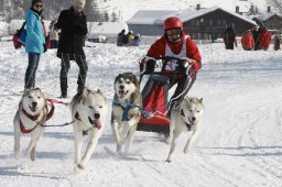 Lenk 2012 SM